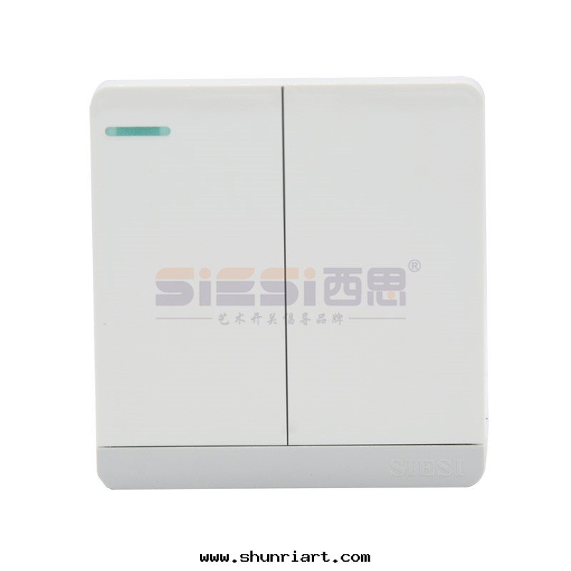 10A二(èr)位(wèi)單控開(kāi)關(guān)