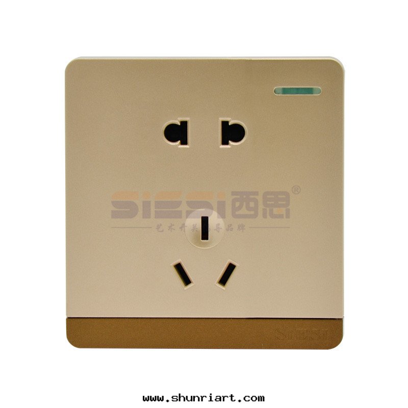 10A二(èr)三(sān)极(jí)插座