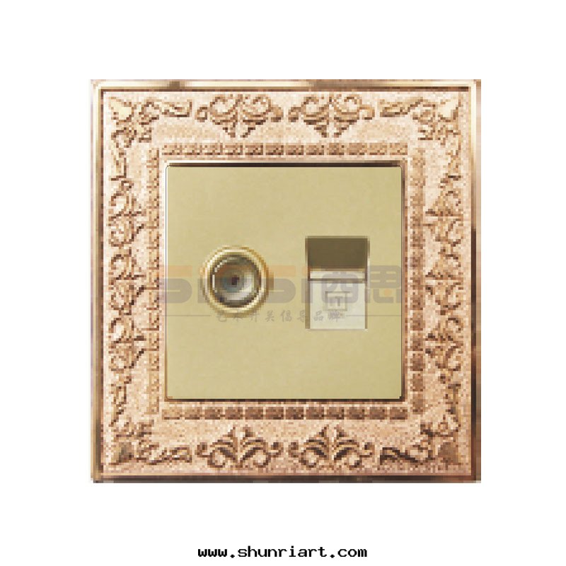 一(yī)位(wèi)電(diàn)视、電(diàn)腦插座