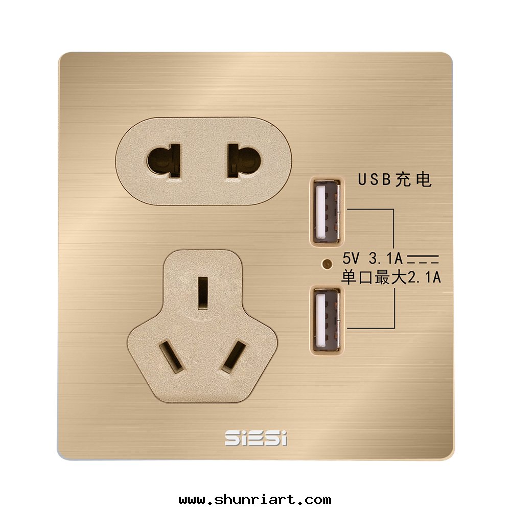 10A 二(èr)三(sān)极(jí)插座带(dài)二(èr)位(wèi)USB