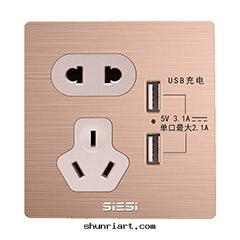 10A二(èr)三(sān)极(jí)插座带(dài)双(shuāng)USB