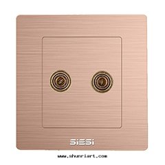 一(yī)位(wèi)两(liǎng)孔音(yīn)響插座