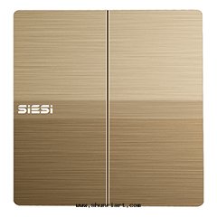 10A二(èr)位(wèi)多(duō)控開(kāi)關(guān)