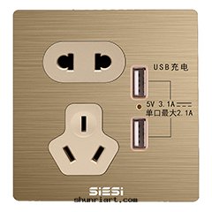 10A二(èr)三(sān)极(jí)插座带(dài)双(shuāng)USB