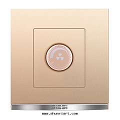 調速開(kāi)關(guān) 250W