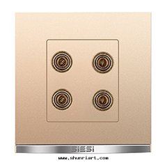 两(liǎng)位(wèi)四(sì)孔音(yīn)響