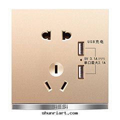 10A二(èr)三(sān)极(jí)插座带(dài)双(shuāng)USB