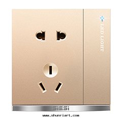 10A二(èr)三(sān)极(jí)插座带(dài)（單/双(shuāng)）控開(kāi)關(guān)