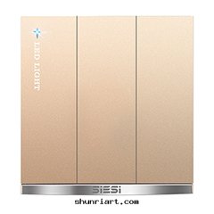 10A三(sān)位(wèi)（單/双(shuāng)）控開(kāi)關(guān)