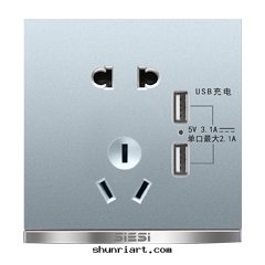10A二(èr)三(sān)极(jí)插座带(dài)双(shuāng)USB