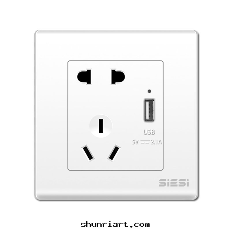 10A 二(èr)三(sān)极(jí)插座带(dài)USB
