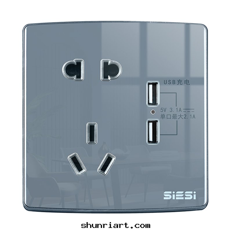 10A 二(èr)三(sān)极(jí)插座带(dài)双(shuāng)USB